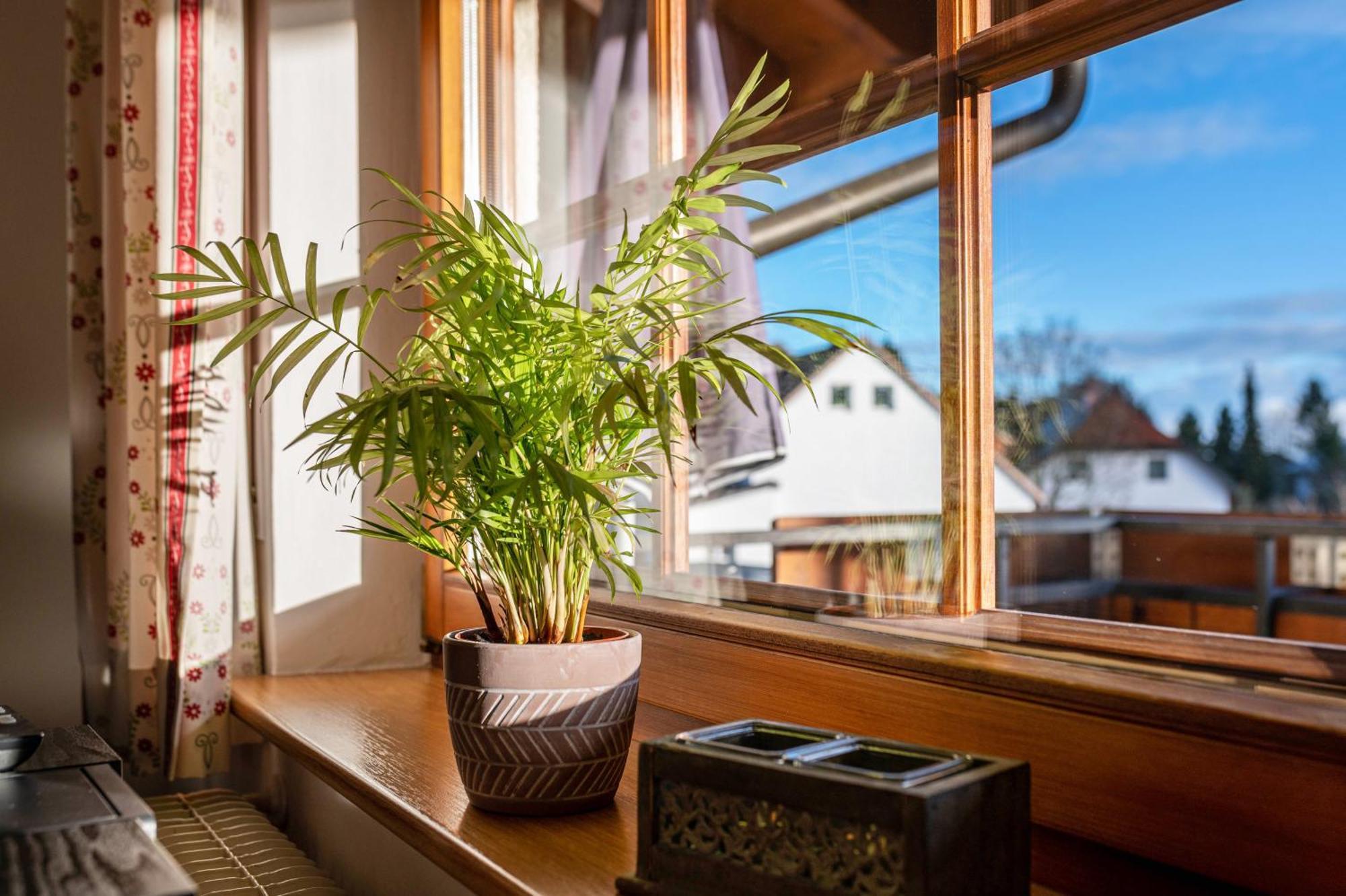 Haus Morgensonne Leilighet Höchenschwand Eksteriør bilde